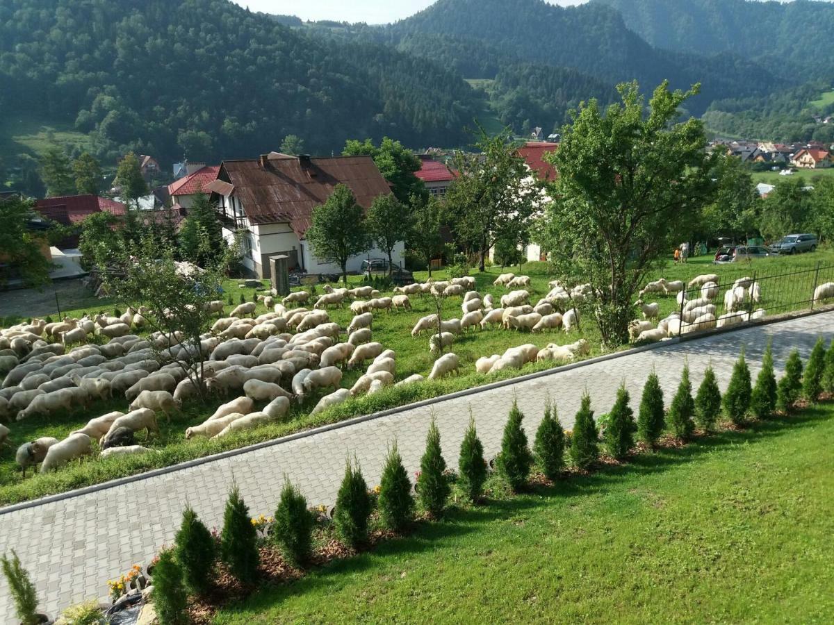 Pokoje U Celinki Szczawnica Kültér fotó